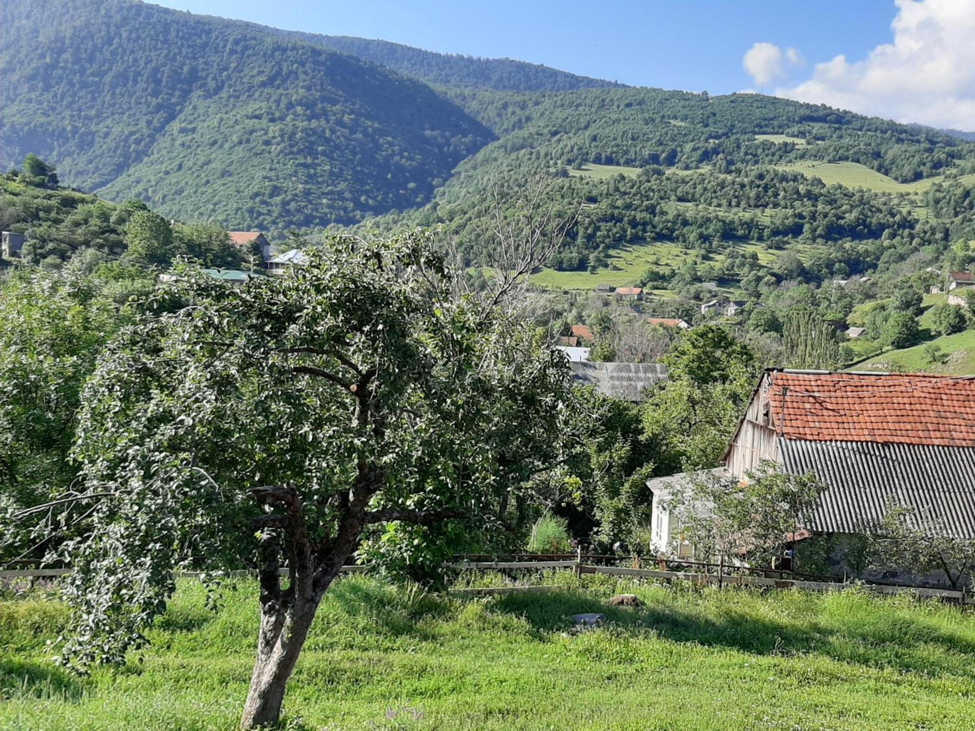 Chamich Guesthouse Debed Buitenkant foto